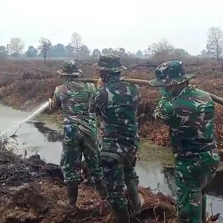 Koramil 1203-13/Mhs Terus Bergerak, Bersama Tim Gabungan Tangani Karhutla