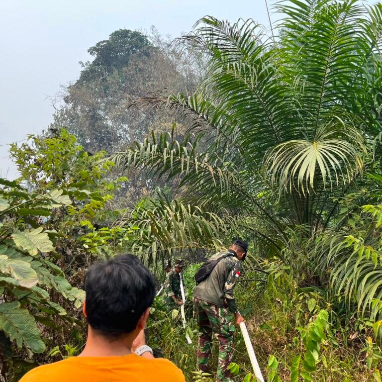 Koramil 1203-14/Jelai Hulu Bergerak Cepat Tangani Karhutla di Wilayah Binaan