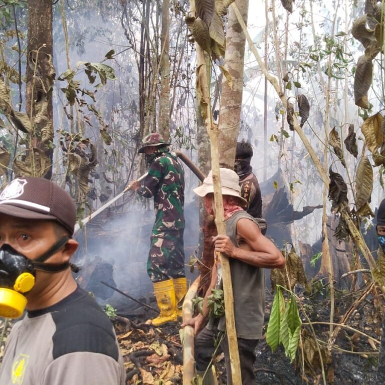 Garda Terdepan Penanggulangan Karhutla, Koramil 1203-01/Nanga Tayap Padamkan Api Bersama Tim Gabungan