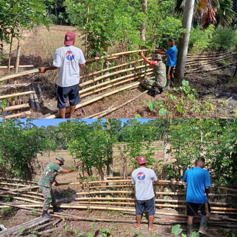 Pagar Kebun Warga Salur Latun Diperbaiki Bersama, Babinsa Teupah Barat Turun Tangan