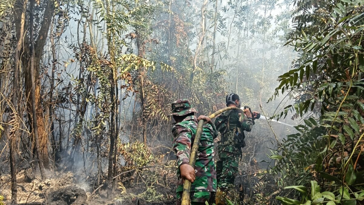 Tiga Unsur Damkar Bersinergi, Penanganan Karhutla di Jalan Gubernur Syarkawi Tuntas
