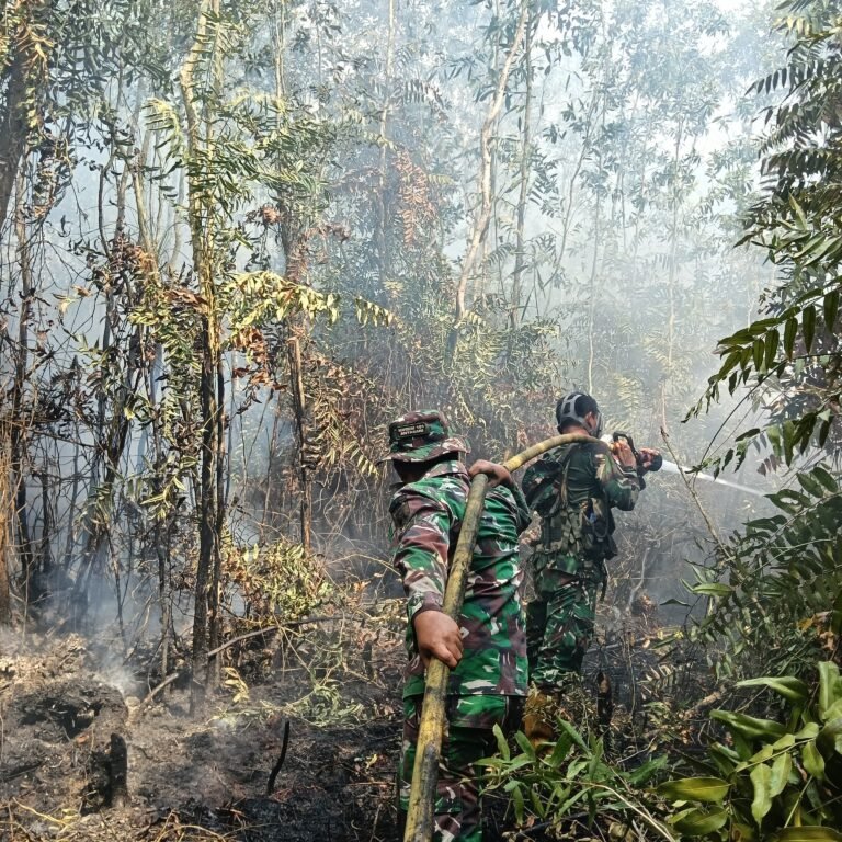 Tiga Unsur Damkar Bersinergi, Penanganan Karhutla di Jalan Gubernur Syarkawi Tuntas
