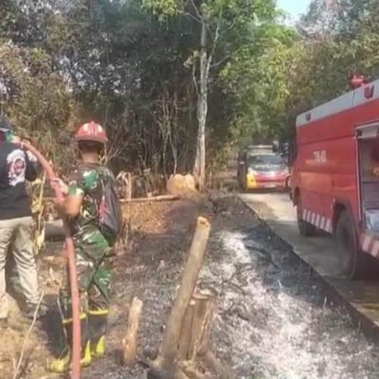 1,5 Hektare Lahan Terbakar di Shabah Tapin, Petugas Lakukan Pembasahan untuk Cegah Api Muncul Lagi