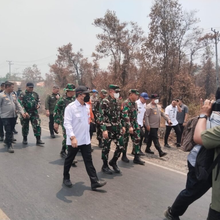 Sinergi Pusat–Daerah Perkuat Penanganan Karhutla Kalsel, Dandim Batola Tegaskan Kesatuan Tindakan