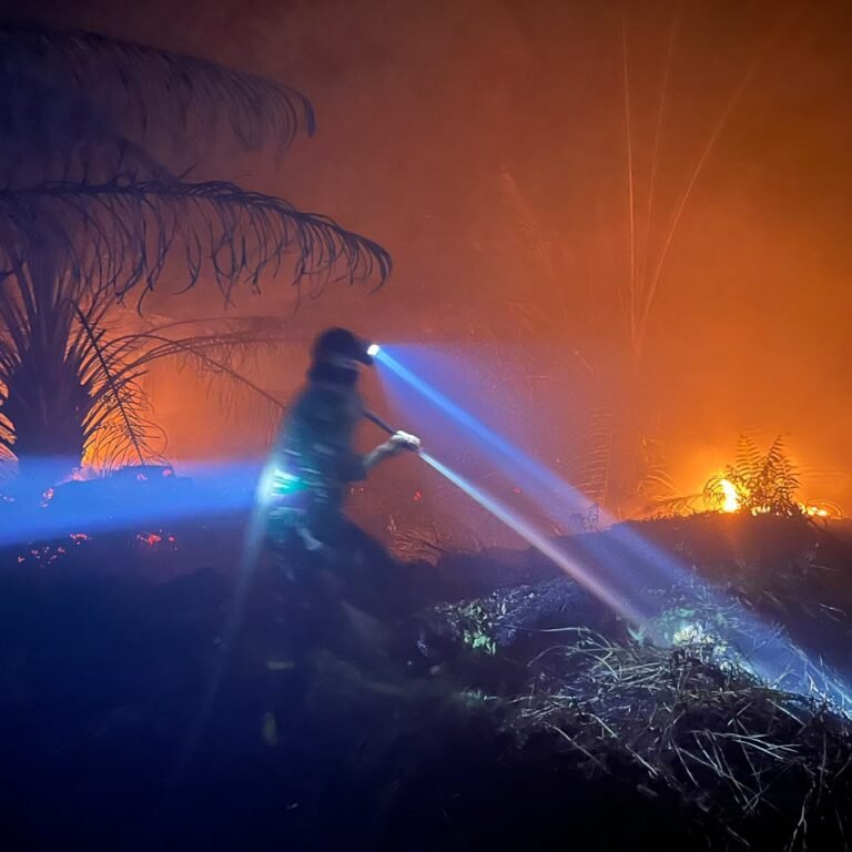 Sinergi TNI dan Masyarakat, Koramil 1203-01/Tayap Padamkan Kebakaran Hutan dan Lahan