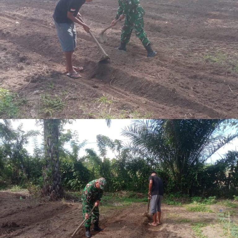 Lahan Kangkung Mulai Ditata, Babinsa dan Petani Kompak Membuat Bedengan