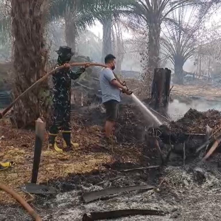 Tim Patrolli Gabungan Koramil 1203-04/Simpang Hulu Bergerak Cepat Padamkan Kebakaran Hutan dan Lahan