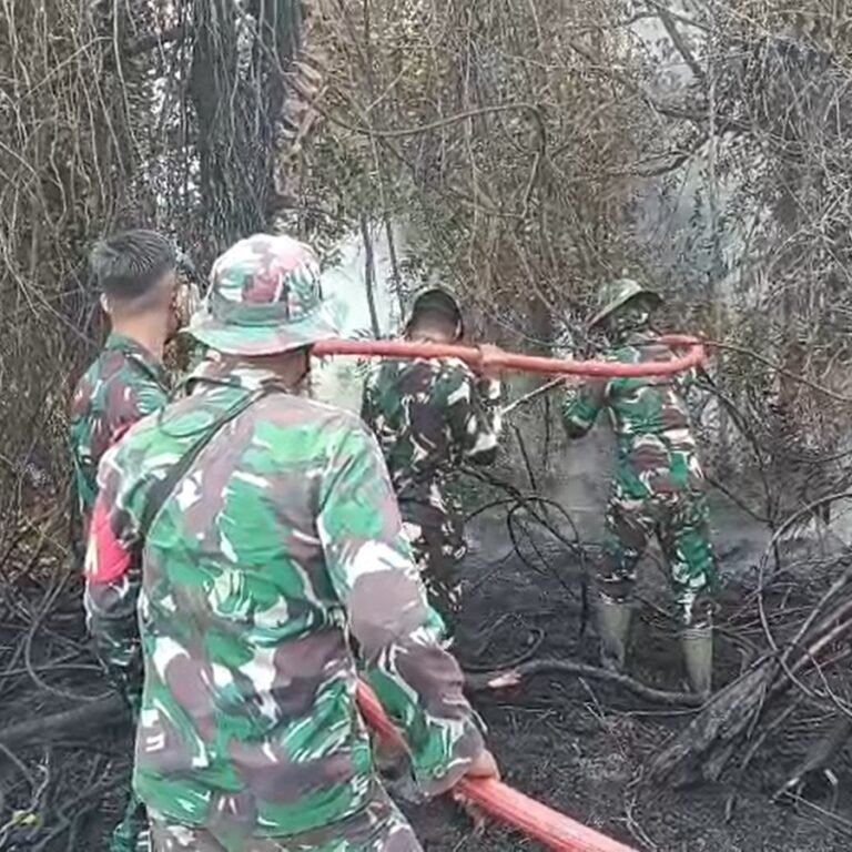 Cegah Api Meluas, Koramil 1203-06/Manis Mata Bergerak Cepat Padamkan Karhutla