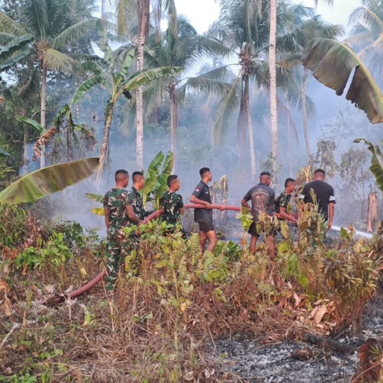 Kodim 1509/Labuha dan Yon TP 867/Satria Manggasa Tangani Kebakaran Lahan di Bacan Timur