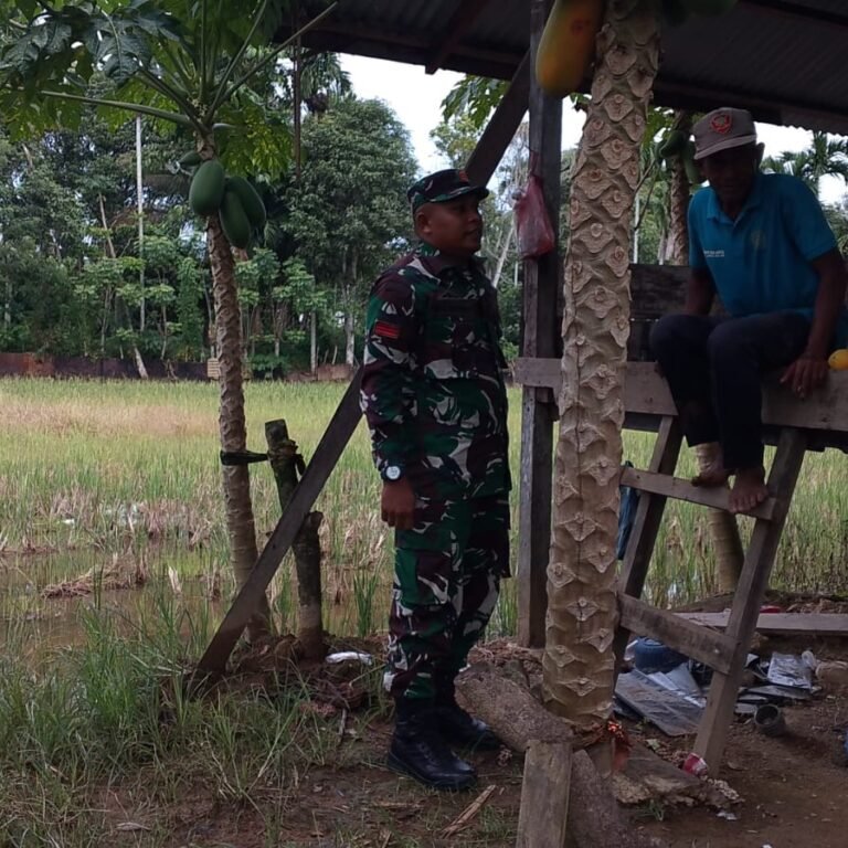 Tanpa Suasana Formal, Babinsa Koramil 01/Jaya Bangun Komunikasi Bersama Petani