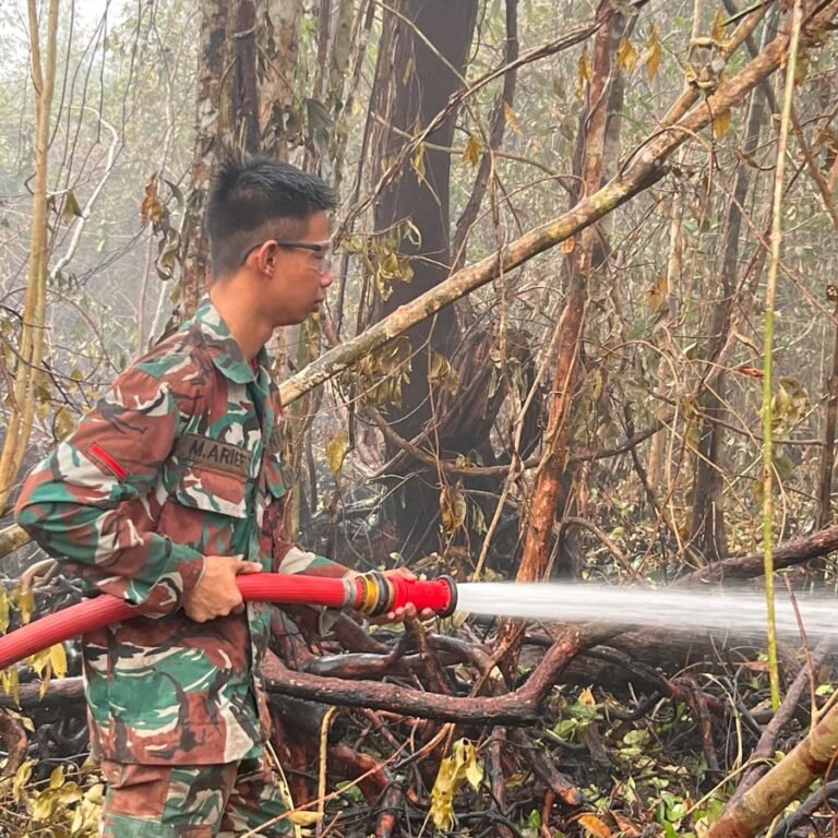 Kodim 1203/Ketapang Lanjutkan Pendinginan Lahan Karhutla Usai Turun Hujan