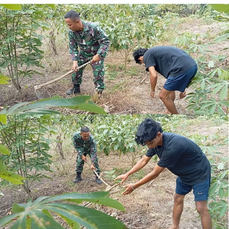 Kodim 0105/Aceh Barat Dampingi Petani Menjaga Pertumbuhan Terong di Pante Ceureumen