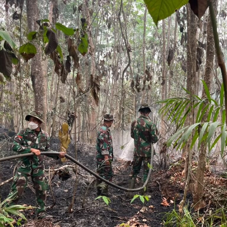 Kodim 1203/Ketapang Laksanakan Pendinginan Lahan dan Patroli Karhutla