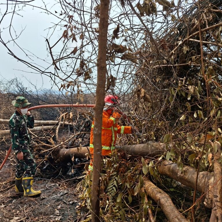 Kodim 1203/Ketapang Lakukan Penanganan Karhutla, Cegah Api Meluas