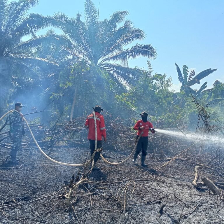 Sekitar 1 Hektare di Desa Maloy Terbakar, Petugas Gabungan Padamkan Api