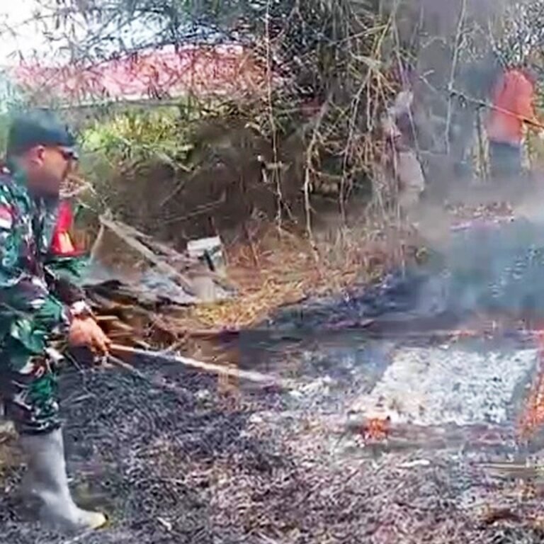 Kolaborasi Babinsa, BPBD, dan Warga Padamkan Lahan Terbakar di Merauke