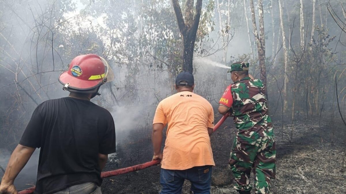 Dua Titik Karhutla di Tapin Ditangani Babinsa dan Tim Gabungan pada Minggu
