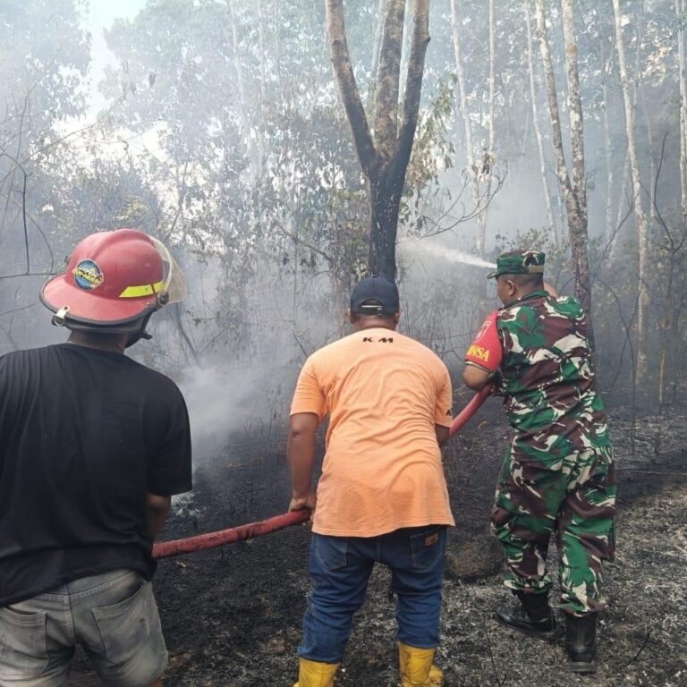 Dua Titik Karhutla di Tapin Ditangani Babinsa dan Tim Gabungan pada Minggu