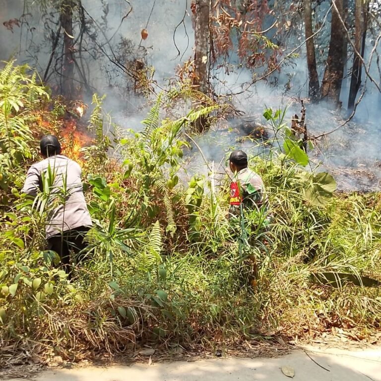 Setengah Hektare Ladang di Batu Timbau Terbakar, Tim Gabungan Padamkan Api