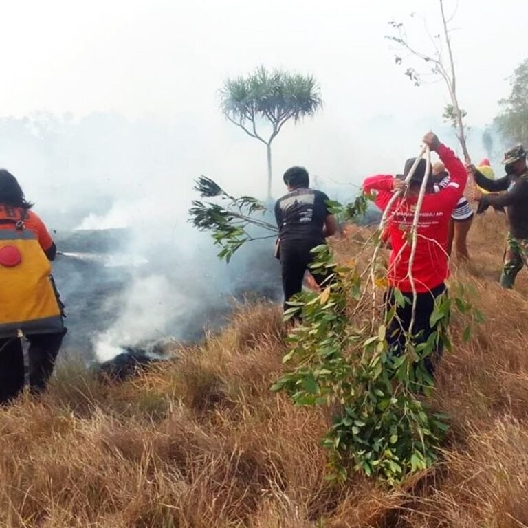 Sigap Babinsa Merauke Bersama Warga Padamkan Kebakaran Lahan di Harapan Makmur