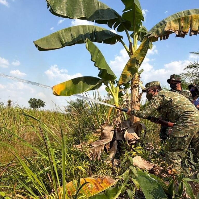 Tapin: Pasis Sesko TNI Mengamati Taktik Penanggulangan Karhutla di Lapangan