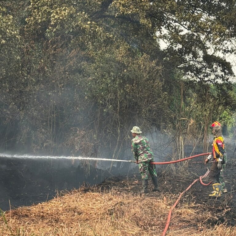 Damkar Kodim Dikerahkan Padamkan Karhutla Seluas 1,5 Hektare di Tapin Utara