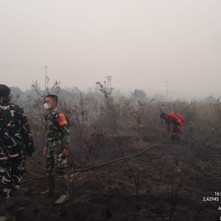 Tanggul, Semak, dan Asap Pekat: Koramil Batumandi Gelar Pemadaman Karhutla di Desa Teluk Mesjid