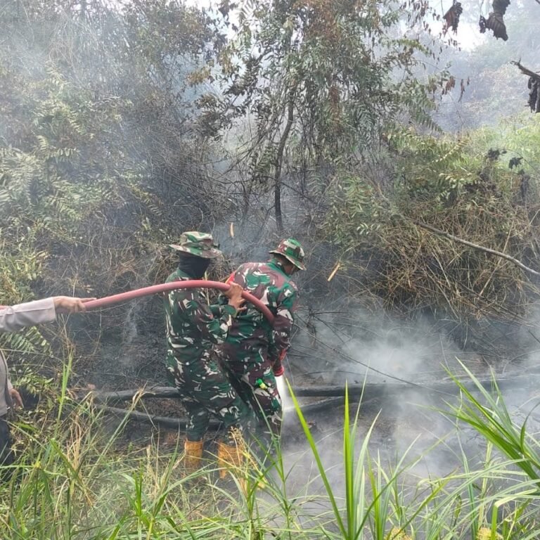 Tim Gabungan Padamkan Karhutla di Lahan 2,5 Ha Sangatta Selatan