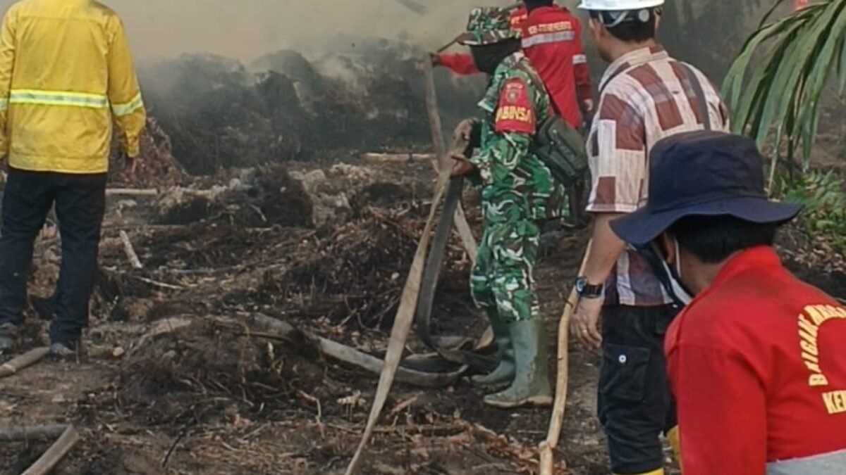 Kebakaran Lahan Gambut di Kolek Sangkulirang, Tim Gabungan Diterjunkan