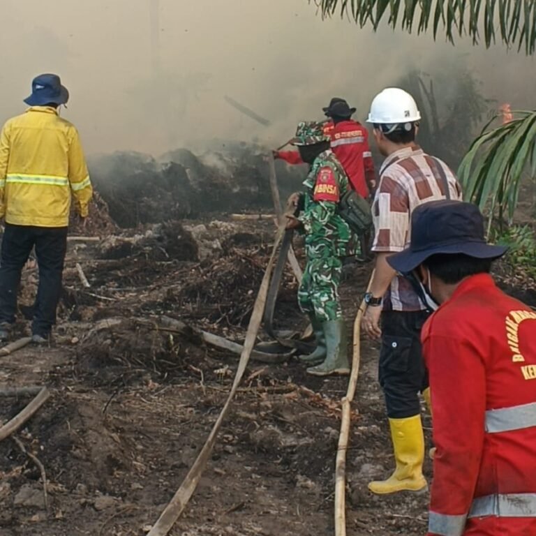 Kebakaran Lahan Gambut di Kolek Sangkulirang, Tim Gabungan Diterjunkan