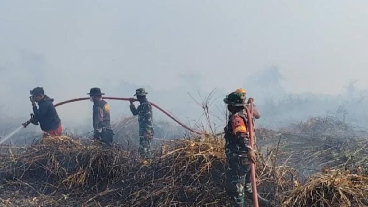 0,5 Hektare Lahan di Pinang Raya Terbakar, Petugas Turun Padamkan dan Himbau Warga