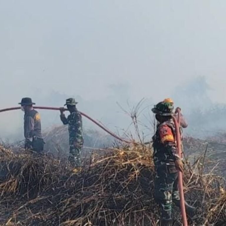 0,5 Hektare Lahan di Pinang Raya Terbakar, Petugas Turun Padamkan dan Himbau Warga