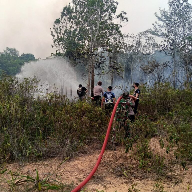 Droping Air Jadi Andalan Padamkan Karhutla 2 Hektare di Batu Piring