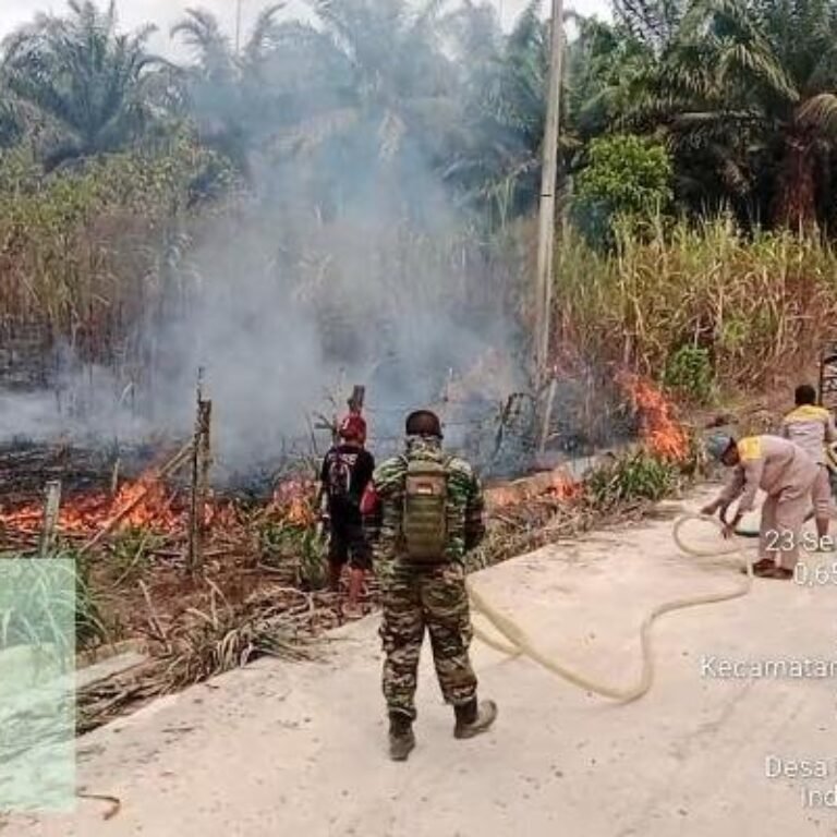 Tim Gabungan Padamkan Kebakaran Kebun Tebu di Rantau Pulung