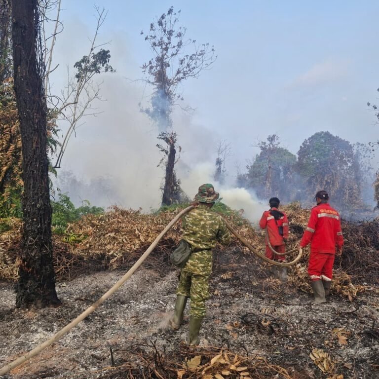 Kebakaran Lahan Seluas Sekitar 5 Hektare Terjadi di Desa Kolek