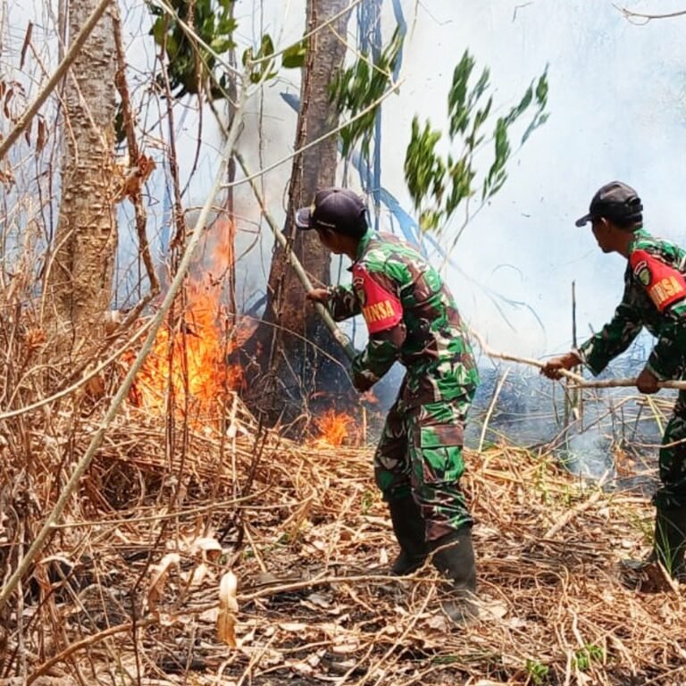 Babinsa Pimpin Pemadaman Lahan di Kiworo, Cegah Ancaman ke Pemukiman