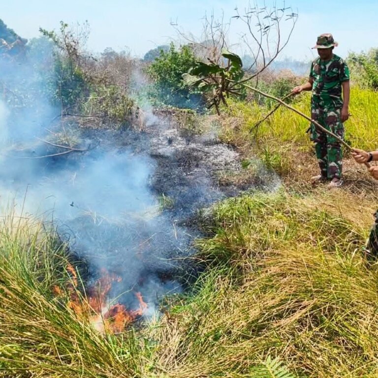 Sigap! Babinsa Padamkan Karhutla di Bandara Wanam Merauke