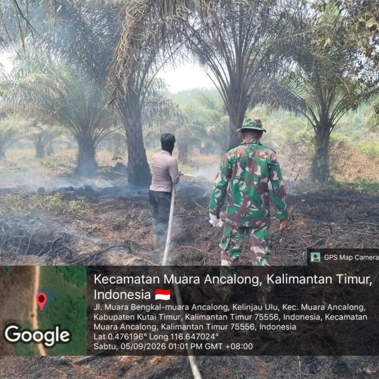 Hotspot di Jalan Poros Kelinjau Ulu, Karhutla Hanguskan Sekitar 5 Hektare