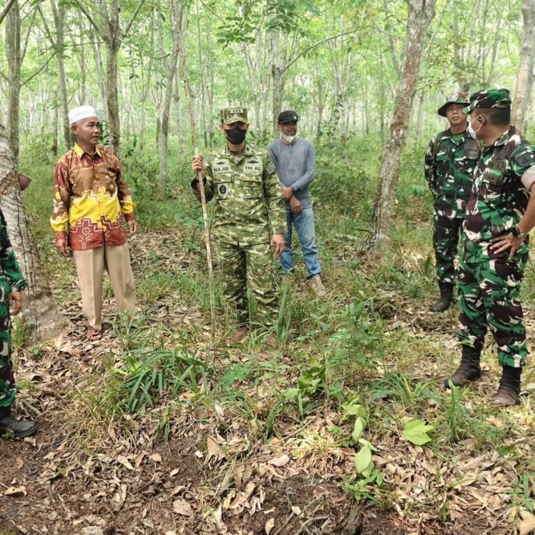Cek Lapangan Karhutla di Balangan, Tim Mabes TNI dan Mabesad Temukan Lahan Terbakar