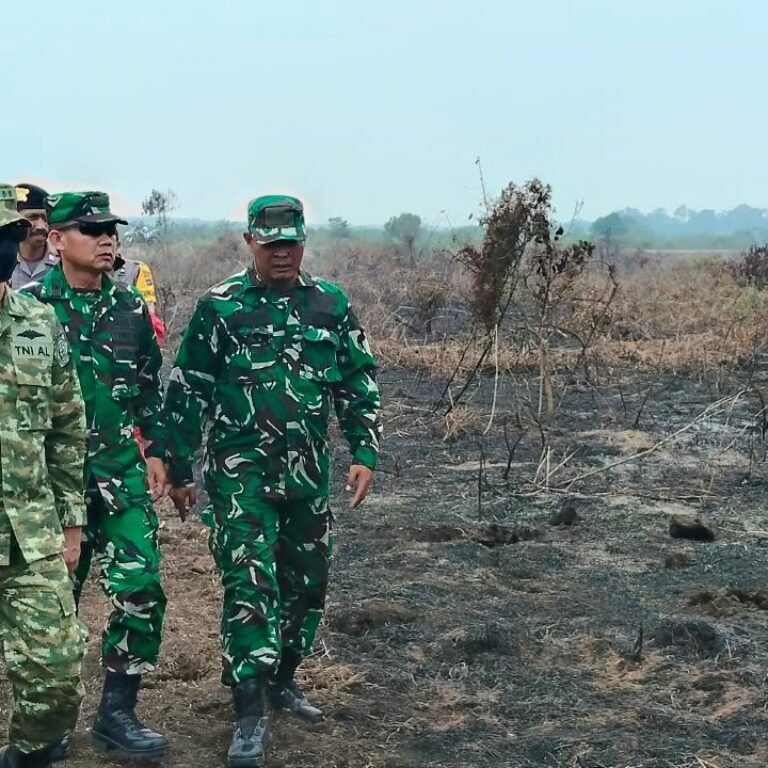 Inspeksi Titik Api di Desa Beringin, Tim Penyuluhan Karhutla Mabes TNI Dipimpin Kolonel Laut (KH) Najib