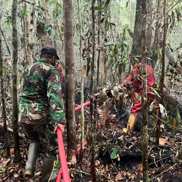 Prajurit Koramil 1203-11/Simpang Hilir Bergerak Cepat Padamkan Kebakaran Hutan dan Lahan