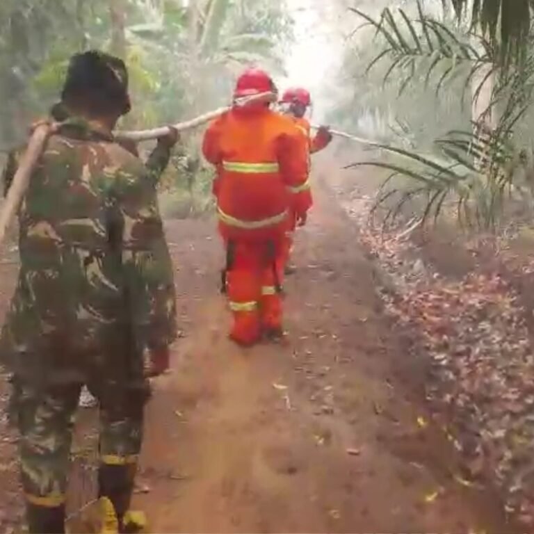 Babinsa Koramil 1203-12/Delta Pawan Turun Tangan Padamkan Kebakaran Hutan dan Lahan