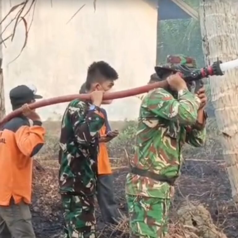 Cegah Meluasnya Api, Danramil Pimpin Langsung Pemadaman Karhutla di Wilayah Koramil 1203-13/Matan Hilir Selatan