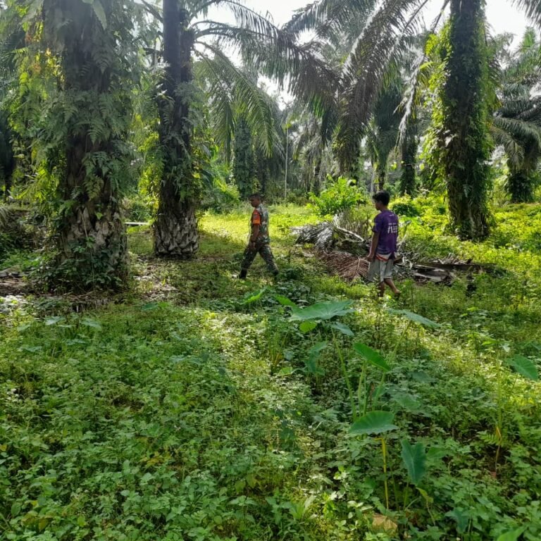 Deteksi Dini Jadi Fokus Patroli, Koramil 01/Jaya Pantau Potensi Karhutla Bersama Warga