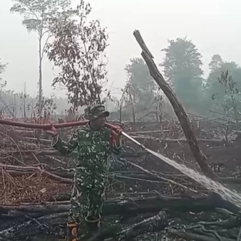 Kodim 1203/Ketapang Tangani Karhutla, Cegah Api Meluas