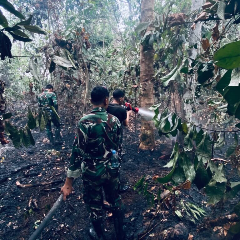 Siang dan Malam, Kodim 1203/Ketapang Terus Lakukan Penanganan Karhutla