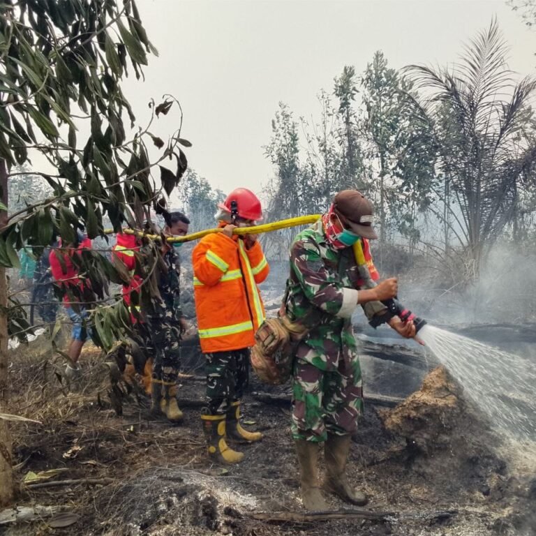 Siang dan Malam, Kodim 1203/Ketapang Terus Tangani Karhutla