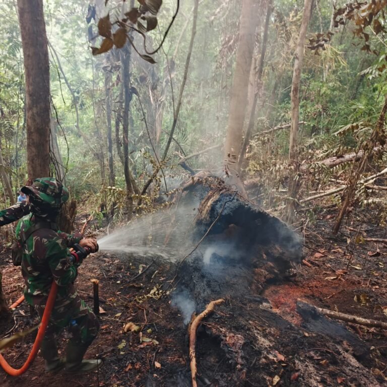 Kodim 1203/Ketapang Tangani Karhutla Siang dan Malam demi Keselamatan Lingkungan dan Masyarakat