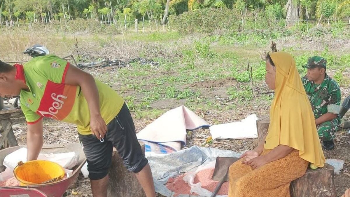 Dukung Produktivitas Pertanian, Babinsa Koramil 05/Panga Hadir di Lahan Jagung Warga