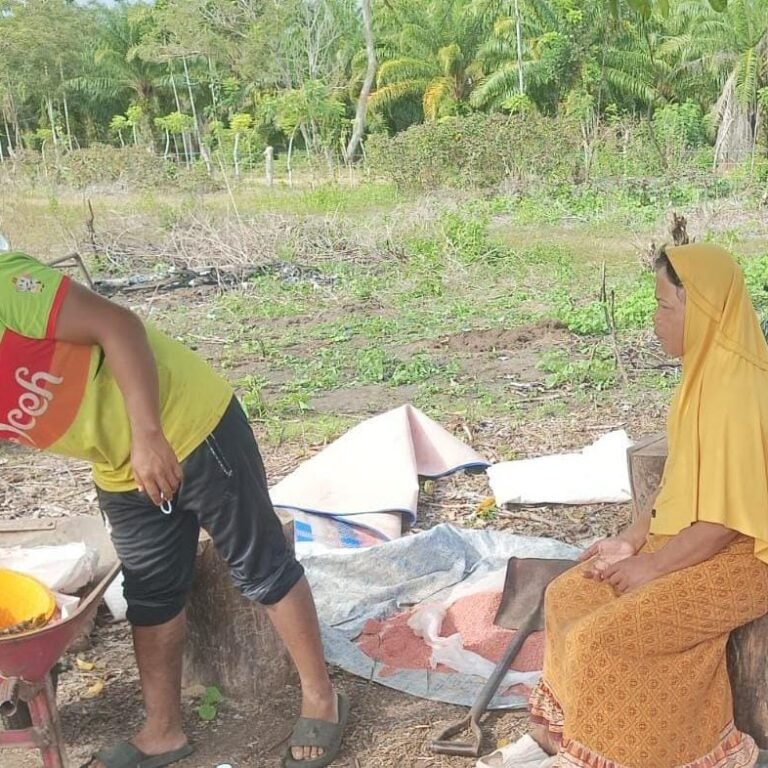Dukung Produktivitas Pertanian, Babinsa Koramil 05/Panga Hadir di Lahan Jagung Warga